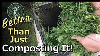 BEST Use For Grass Clippings EVERYWHERE In The Garden MORE Benefits amp Easier Than Composting It [upl. by Assirhc]