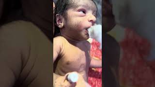 New born baby feeding just after birth babyshorts baby cutebabycarebaby cutebaby sleepingbaby [upl. by Ztnarf]