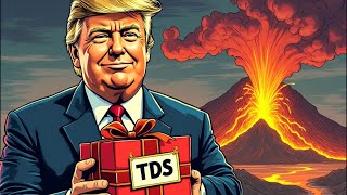 2024 Election Meltdown Navigating the TDS Epidemic [upl. by Otter]