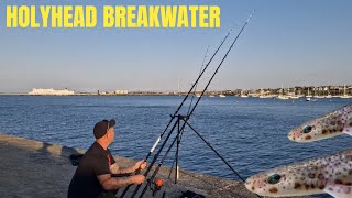 HOLYHEAD BREAKWATER FISHING  A day at the KENNELS [upl. by Ennairol]