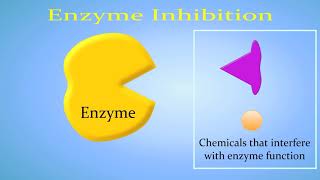 Enzyme Inhibition Competitive vs NonCompetitiveAllosteric [upl. by Hako]