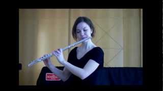 Autumn leaves  jazz flute solo [upl. by Yenwat]