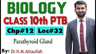 Parathyroid gland  Chapter  12  Biology Class 10th  Lec 32 [upl. by Hafirahs]