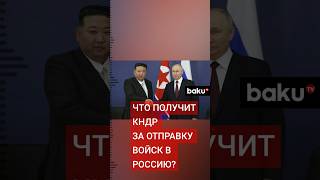 За отправку боеприпасов и войск КНДР получит от России до 700 тысяч тонн риса в год [upl. by Moreen160]