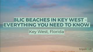 Public Beaches in Key West  Everything You Need to Know [upl. by Atiuqat]