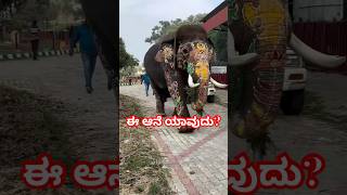 ಈ ದಸರಾ ಆನೆಯ ಹೆಸರು ಹೇಳಿ  Comment this elephant name  dasararlephant [upl. by Clair]