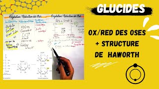 📣3 LES GLUCIDES PARTIE01 👌Oxydation et Reduction Des OsesStructure Cyclique De Haworth BIOLOGY [upl. by Parthenia]