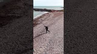 Beach schotland surfcasting fishing longcasting fishinglife pesca music [upl. by Nazario679]