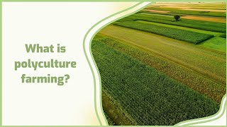 Polyculture  Monoculture vs polyculture  Advantages amp Disadvantages of Polyculture  Monoculture [upl. by Eenehs971]