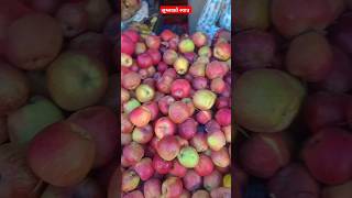 Jumlako Organic ra mitho syau 🍎🍎🍎🍎🍎 sudarshansunar [upl. by Idroj]