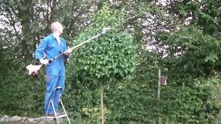 Kugelbaum schneiden mit dem Stihl Kombisystem Heckenschneider mit Schaftverlängerung Hedge Trimmer [upl. by Davita]