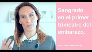 Sangrado en el primer trimestre del embarazo  Arancha Matrona vlog24 [upl. by Eelitan]