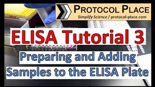 ELISA Tutorial 3 Preparing and Adding Samples to the ELISA Plate [upl. by Eycal]