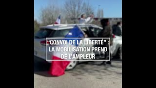 quotConvoi de la libertéquot  la mobilisation prend de lampleur [upl. by Ademla389]