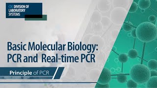 Basic Molecular Biology PCR and RealTime PCR – Principle of PCR [upl. by Afatsuom773]