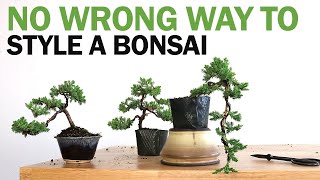 How to Style 3 Types of Bonsai for Beginners  No Wrong Way to do it [upl. by Jannel]