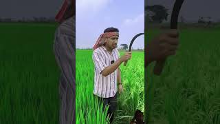 Dhaan kha rahi thi bhains cow shots comedy [upl. by Otir]