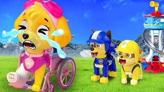 Paw Patrol The Mighty Movie  SKYE Please dont leave us  Sad Story  Rainbow 3 [upl. by Etka]