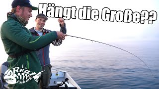 Zielfisch RENKE amp HECHT  Mit PROFIGUIDE Michael Bierbaumer am ATTERSEE Pt1 [upl. by Marybelle]