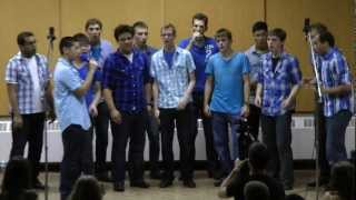 Scary Monsters and Nice Sprites Skrillex  The Water Boys A Cappella Cover [upl. by Gan]