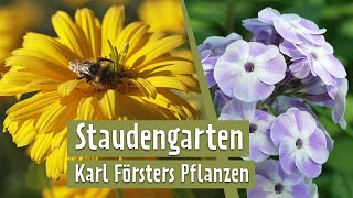 Stauden mit Tradition  Der Karl FoersterGarten in Erfurt  MDR Garten [upl. by Zurn]