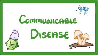 GCSE Biology  Communicable Disease 34 [upl. by Ettenig78]