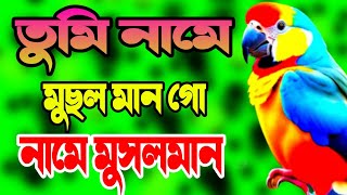 তুমী নামে মুসলমান গো সেরা ২টি গজল Nice ghazal tv 🌹 Tume Name Musolman go Gojol [upl. by Dott]