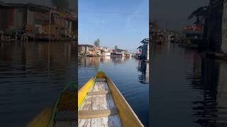 Dal Lake Kashmir’s Gem of Tranquility shortsfeed shorts kashmir [upl. by Ahsatsan]