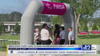 Sista Strut raises awareness about breast cancer research [upl. by Pironi893]