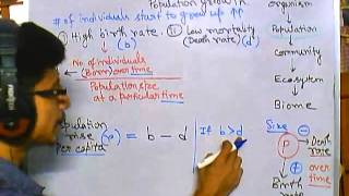 Population ecology part 1 population growth and growth rate [upl. by Shaughnessy]