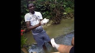 LETHE RIVER BAMBOO RAFTING MONTEGO BAY JAMAICA 🇯🇲 [upl. by Brana425]