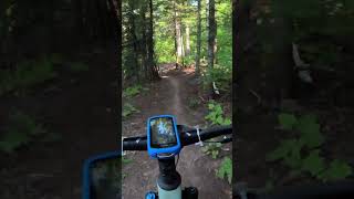 Quick Flowy Section During The Copper Harbor Trail Fest Long Race mtb singletrack race racing [upl. by Evan]