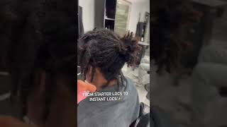 Starter locs to instant locs [upl. by Allicirp959]