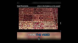 What carpets and sound have in common The Role of Head Movements [upl. by Sundin270]