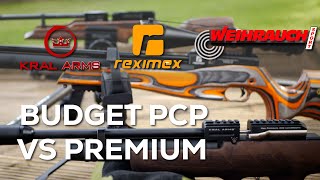 Budget PCP Rifles vs Premium Should I budget for a higher price [upl. by Gabriela79]