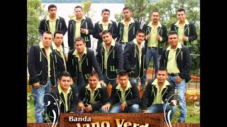 BANDA LLANO VERDE  Avance Promocional [upl. by Gunther252]