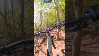 Found some nice flow at Bakers Creek mtblove mtb mountainbike bicycle cyclists [upl. by Haimerej]