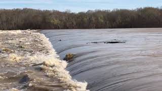 Demopolis Lock and Dam Flood [upl. by Eleets289]