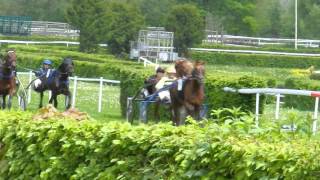 繋駕速歩競走のレース Harness Racing 20140504 [upl. by Chappelka]