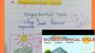 Biogeochemical Cycle Geography [upl. by Lenaj697]