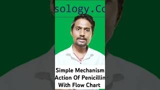 Mechanism Action Of Beta Lactam Antibiotics In pharmocolog For Bsc Nursing 4th Semester nursing [upl. by Nahtal]