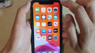 iPhone 11 Pro How to Adjust Screen Brightness  IOS 13 [upl. by Brandais]