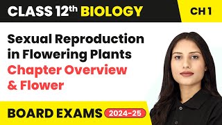 Sexual Reproduction in Flowering Plants  Chapter Overview amp Flower  Class 12 Biology Chapter 1 [upl. by Ayikur]