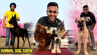 Biggest Dog show of Haryana Karnal Dog show😱😍 [upl. by Ahseken]