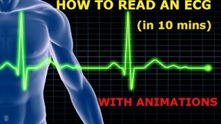 HOW TO READ AN ECG WITH ANIMATIONSin 10 mins [upl. by Auhsohey]