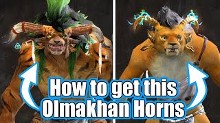 UPDATED How to get the Hidden Charr Horns  Guild Wars 2 [upl. by Suolkcin]