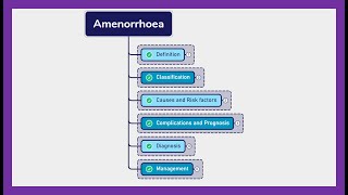 AMENORRHEA  Symptoms diagnosis treatment [upl. by Ayna737]