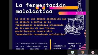 Fermentación maloláctica [upl. by Shane]