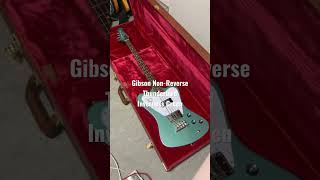 Gibson NonReverse Thunderbirdが届いた [upl. by Hayes]