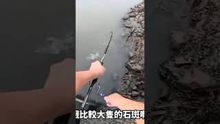 水門躲了一隻石斑 fishing 魚 bassfishing 推薦 路亞 automobile 水流 台南釣魚 [upl. by Euf21]